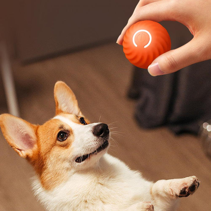 RollyDog™ | De slimme oplossing voor stress en verveling bij huisdieren!