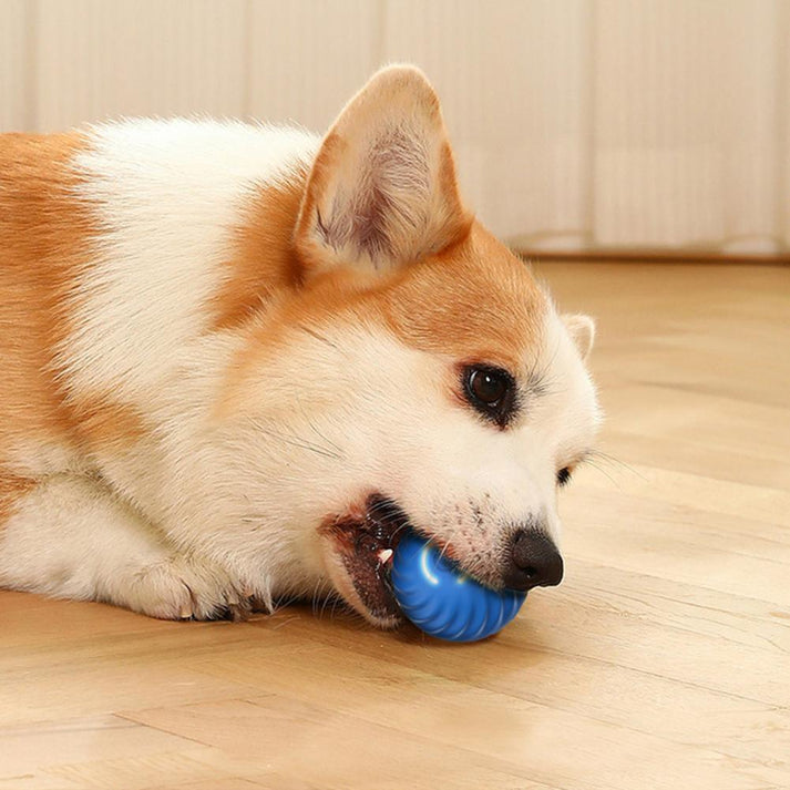 RollyDog™ | De slimme oplossing voor stress en verveling bij huisdieren!