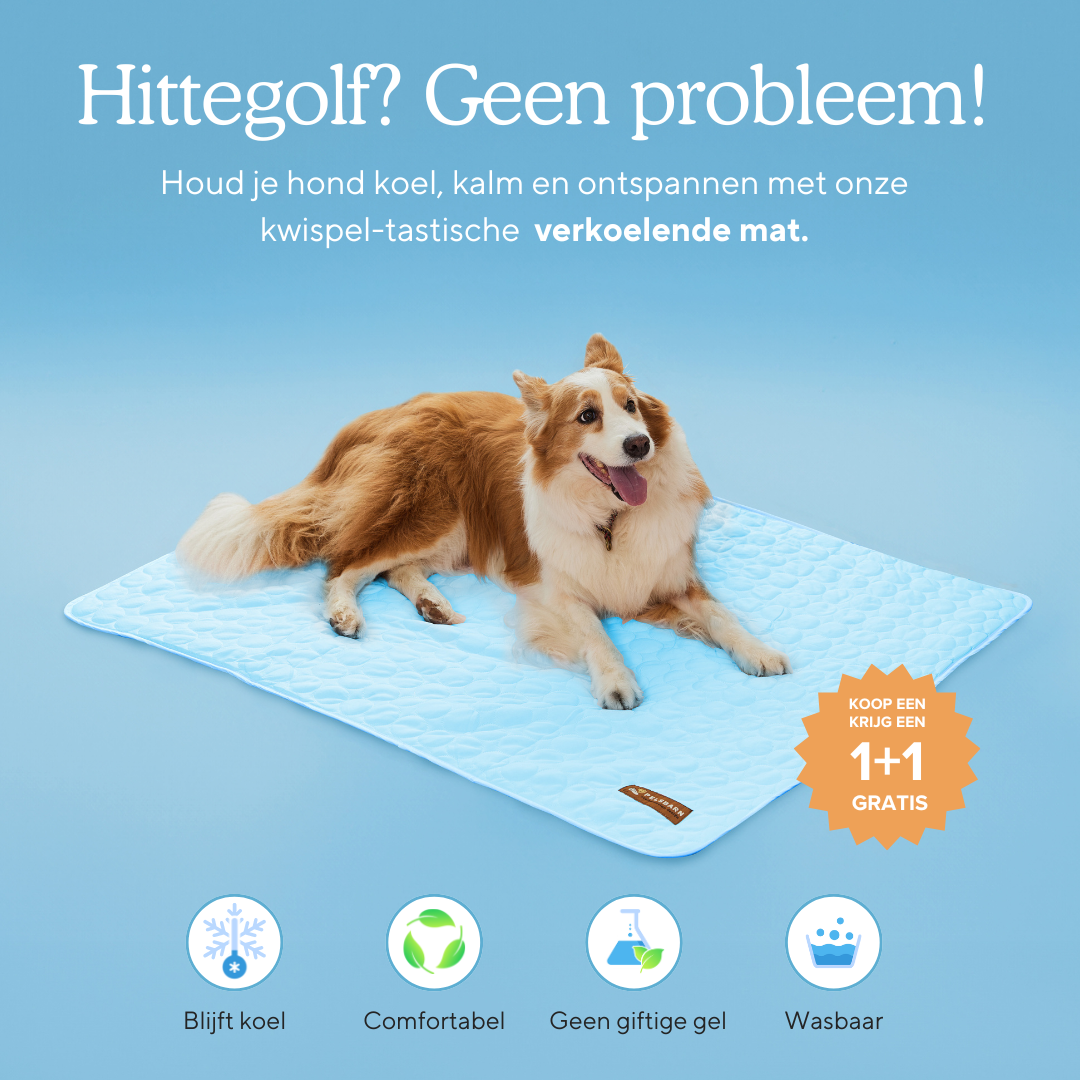 Koelmat voor honden |  (1+1 GRATIS)