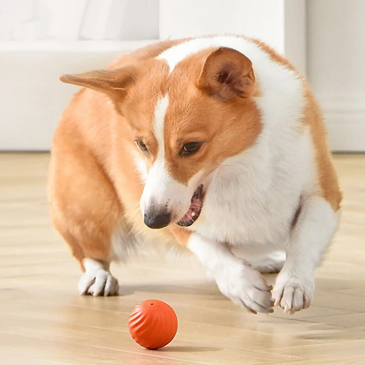 RollyDog™ | De slimme oplossing voor stress en verveling bij huisdieren!